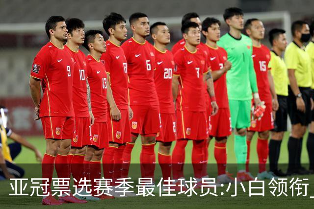 亚冠票选赛季最佳球员:小白领衔 奥古比埃拉上榜